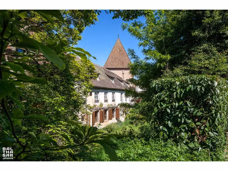 propriété exeptionnelle sur 1 hectare à vendre en viager occupé  boersch propriete p15 de 