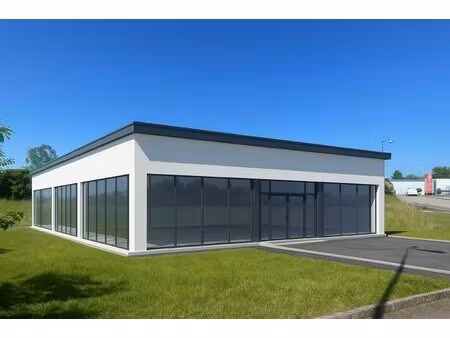 immobilier professionnel à vendre morestel