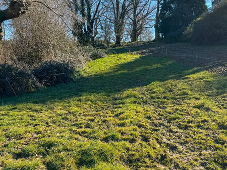 terrain proche morlaas