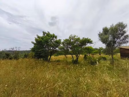vente terrain 3690 m² saint-georges-d’orques (34680)