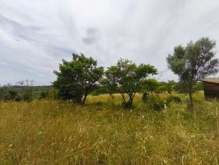 vente terrain 3690 m² saint-georges-d'orques (34680)