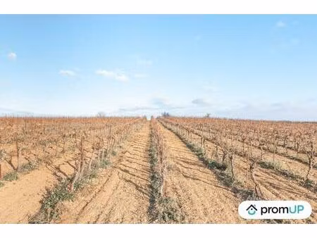 vente terrain 57000 m² bélarga (34230)