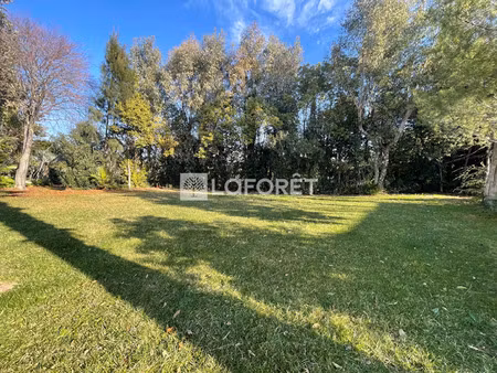 vente terrain 1000 m² lattes (34970)