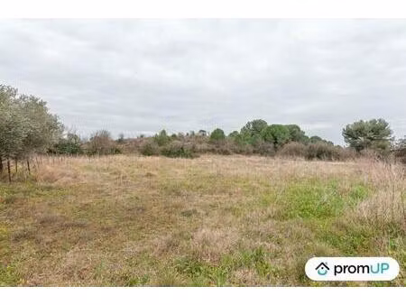 vente terrain 10610 m² lunel-viel (34400)