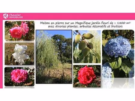 vente maison à saint-nolff (56250) : à vendre / 110m² saint-nolff