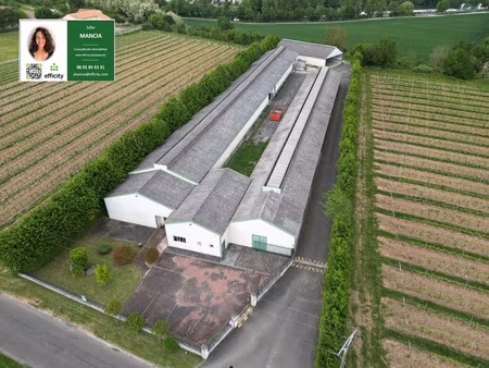 local commercial 6 pièces - 2282 m²