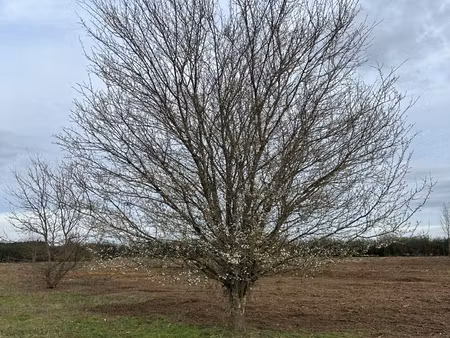 vente terrain 1 500 m²