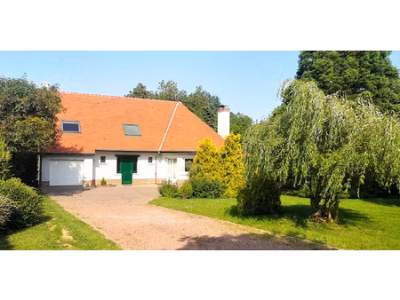 vente maison 8 pièces 205 m² aubigny-en-artois (62690)