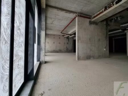 vente commerce 417 m² rumilly (74150)