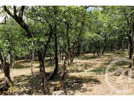 vente terrain à batir 3143 m² à cuzance (46600)  29 500 €