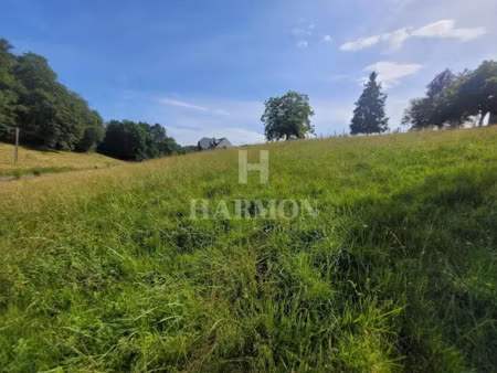 vente terrain à batir 1883 m² à esquiule (64400)  31 000 €