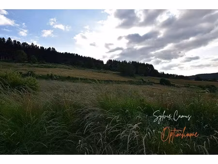 vente terrain 911 m² à dunières (43220)  55 000 €