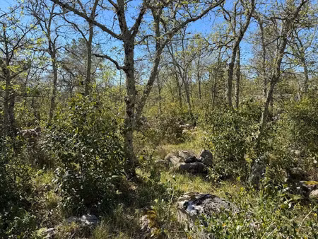 vente terrain à batir 1542 m² à labeaume (07120)  119 000 €