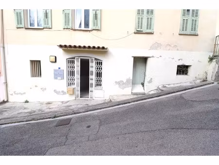 vente locaux professionnels 33 m² à contes (06390)  99 000 €