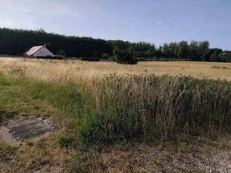 grand terrain constructible à mareuil-sur-cher proche saint aignan