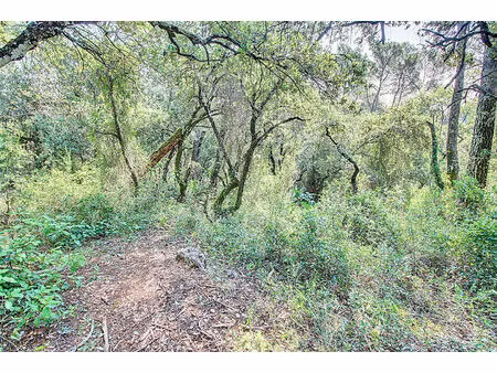 a vendre en exclusivite ! terrain non constructible de 17444 m²