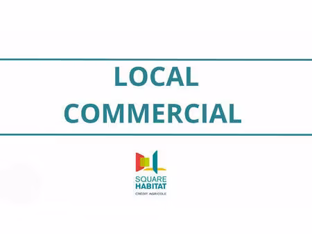 local commercial canet en roussillon 114 m2