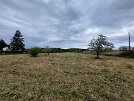 terrain lot 1 - ecurat 975 m2