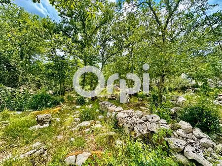 vente terrain 1542 m² labeaume (07120)