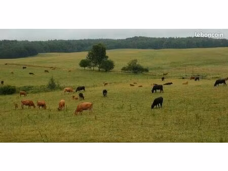 recherche pâture agricole non constructible