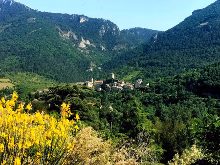 vente terrain 1019 m² mostuéjouls (12720)