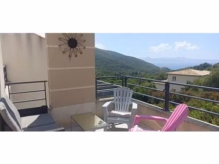 appartement de luxe en location à farinole  france