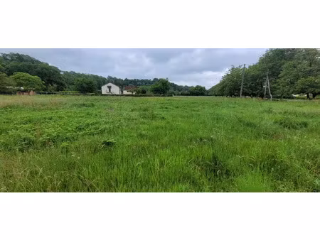 vente terrain 2451 m² altillac (19120)