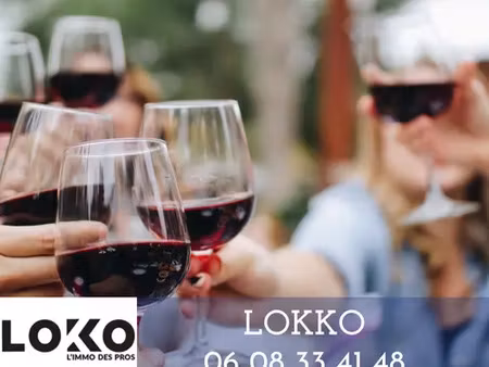 a louer - bar a vin & tapas - hyper centre-ville de pau