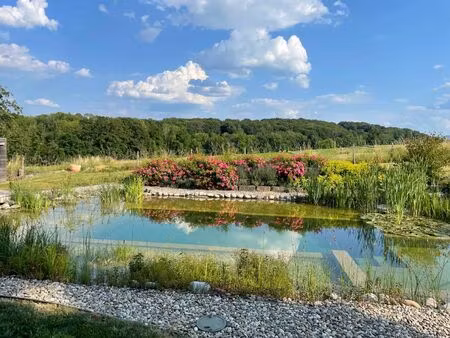 réf: 11128*** secteur frontalier  wentzwiller  buschwiller: magnifique villa env. 130 m²