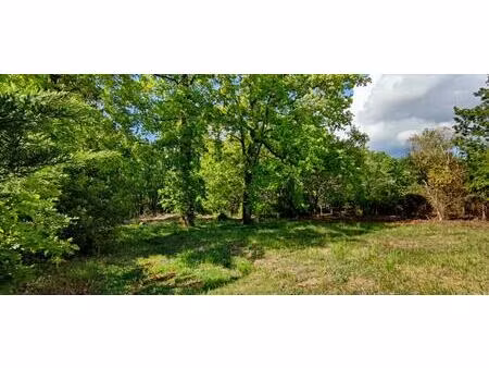 terrain arbore constructible 2200 m²