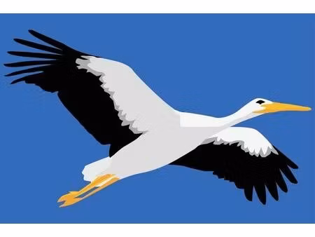 vente garage arcachon (33120)