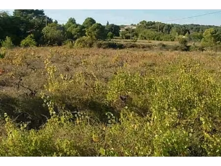 annonce terrain à vendre