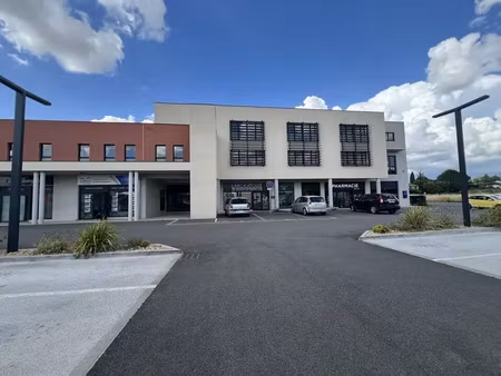 local professionnel a louer