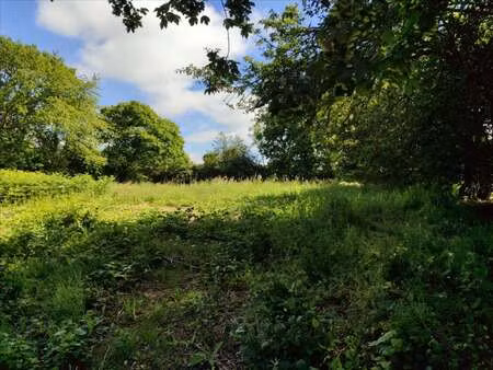 vente terrain à neufmesnil (50250) : à vendre / neufmesnil