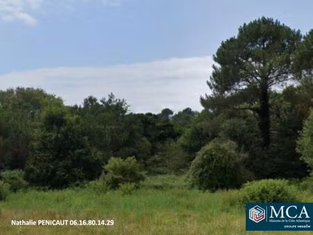 vente terrain 703 m² messanges (40660)