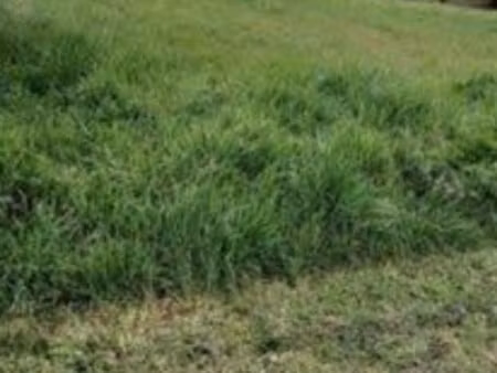 terrain constructible 740 m2