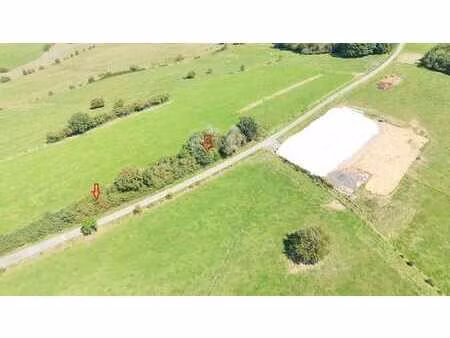 belle parcelle de foret en zone agricole