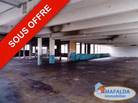 vente commerce 9 pièces 3600 m² marnaz (74460)