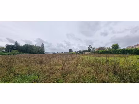 vente terrain 4100 m² courlon-sur-yonne (89140)