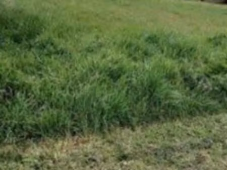 vente terrain à luzillat (63350)  37 000 €
