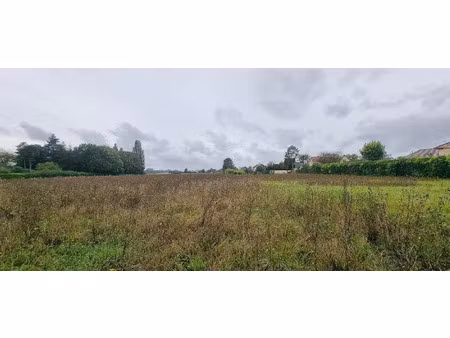 vente terrain à batir 4100 m² à courlon-sur-yonne (89140)  37 500 €