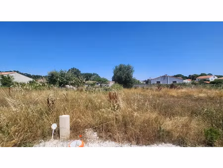 vente terrain 252 m² à vaux-sur-mer (17640)  134 000 €