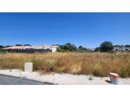 vente terrain 321 m² à vaux-sur-mer (17640)  133 000 €