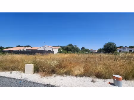 vente terrain à vaux-sur-mer (17640)  133 000 €