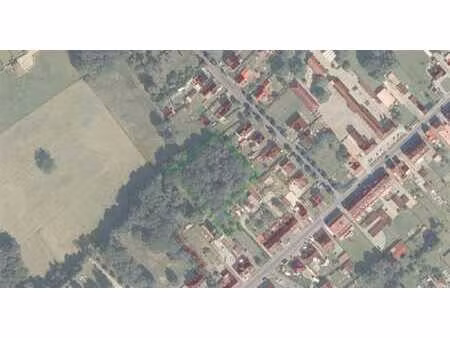 terrain