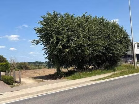 terrain à vendre à opitter € 189.500 (l9y0g) - immo-top | zimmo