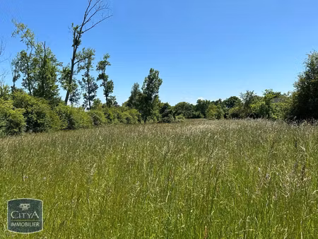 terrain à vendre 4696 m² - le blanc (36) - 39 500€