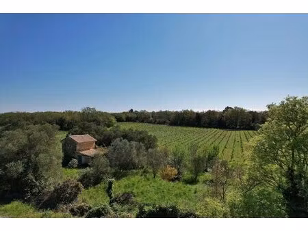 charmant mazet au cœur d'un environnement préservé