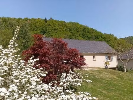 vente maison 4 pièces 110 m² monceaux-sur-dordogne (19400)