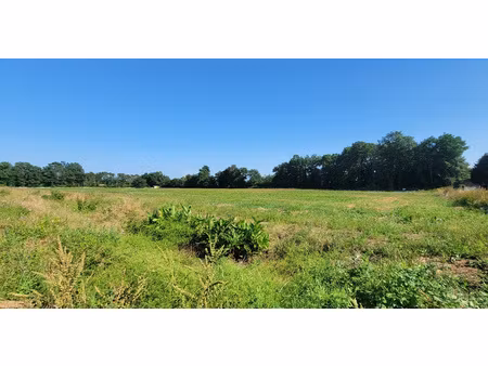 terrain à bâtir programme golfique harmana grand dax